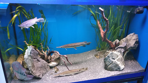 Mundi Aquarium Center