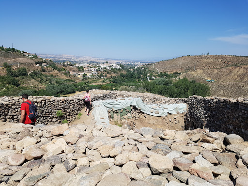 Yacimiento Arqueológico Cerro de la Encina