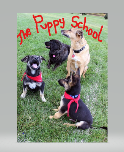 The Puppy School of Fort Collins