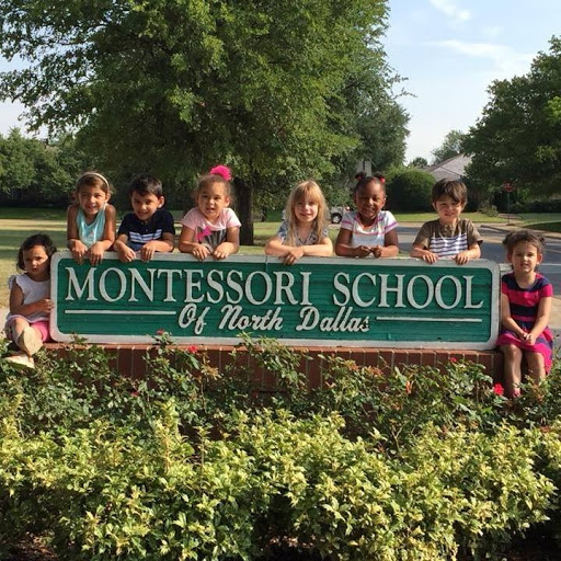 The Montessori School