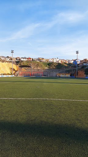 Polideportivo Manuel Robles