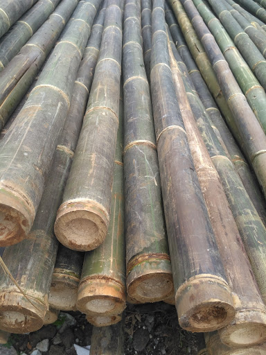 Pangkalan Bambu