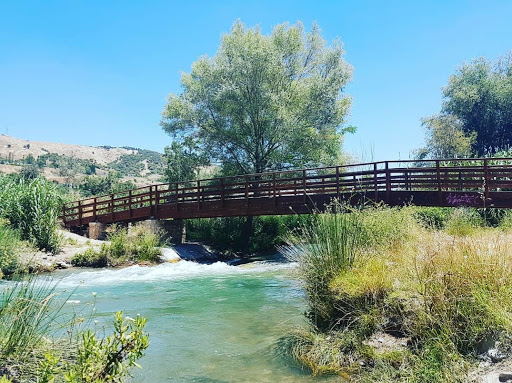 Puente El Paseo De La Bicha