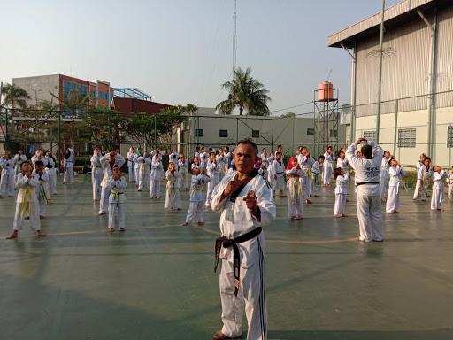 Protectors Taekwondo Indonesia