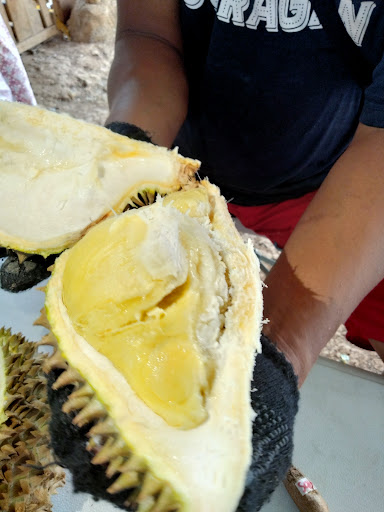 Republik Durian Abu Kabul
