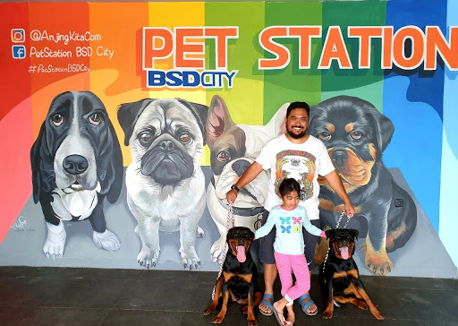 Pet Shop Pet Station BSD City