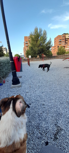 Parque para perros Federico García Lorca