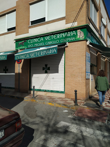 Clinica Miguel Cabello - Veterinarios