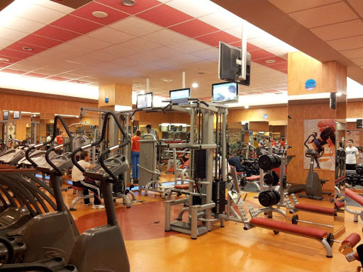 Gimnasio FitnessFactory Ogijares