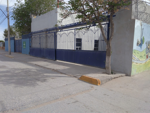 Instituto Campestre de México