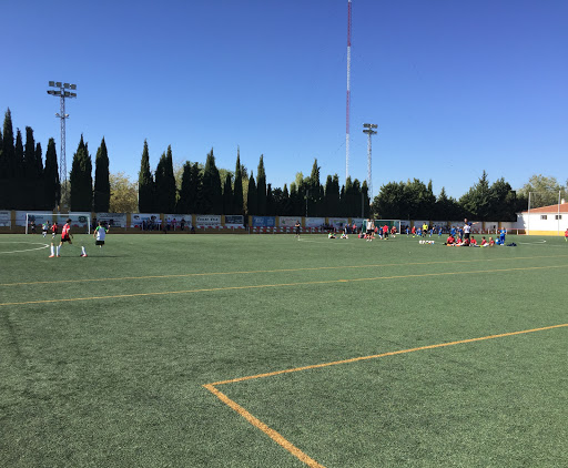 Campo de Futbol San Miguel