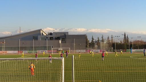 Estadio Municipal Albolote
