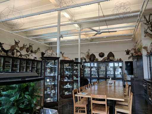 The Nature Lab at Rhode Island School of Design