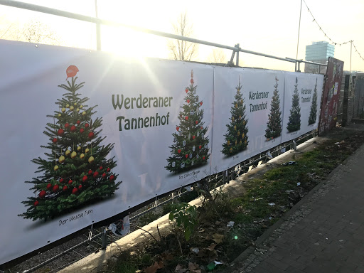 Werderaner Tannenhof - Weihnachtsbäume Tannen Christbaum
