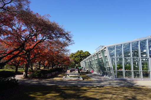 小石川植物園 公開温室