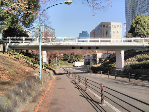 新宿中央公園小橋