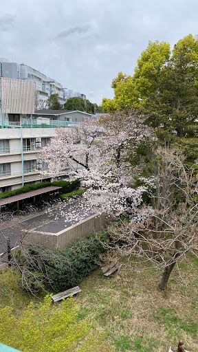 東京大学インターナショナルロッジ