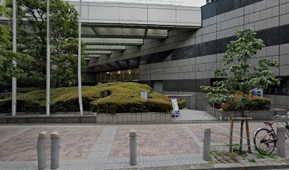 Taylor Hobson Ltd, Japan