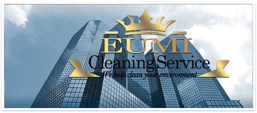 eumi cleaning service