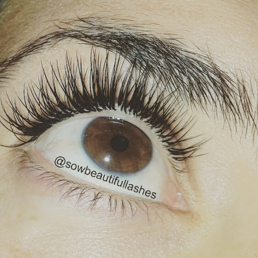 Sow Beautiful Lashes