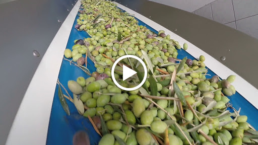 Al'Oleo Natives Olivenöl Extra aus Spanien