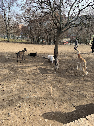 Dog Area Mauerpark