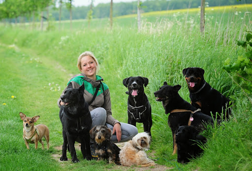 Hundekompass - Training und Beratung für adoptierte Hunde