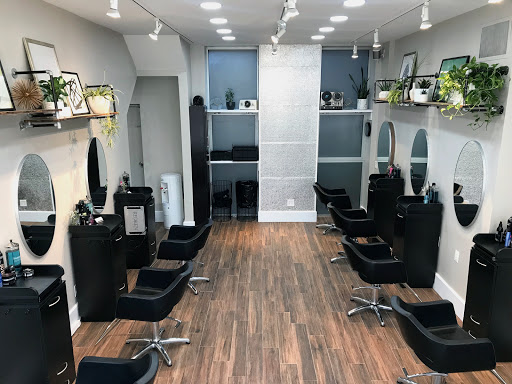 OPC Salon