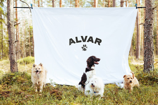 Alvar Pet GmbH