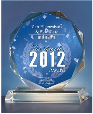 Zap! Electrolysis & Skin Care