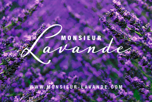 Monsieur Lavande