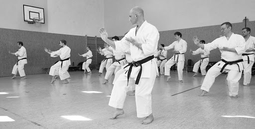 Mu Shin Kai Shito Ryu Karate Do