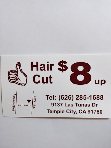 Hair Salon men hair cut $ 8