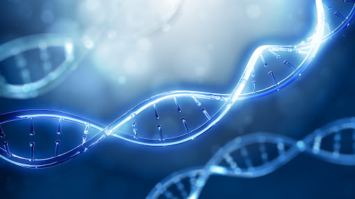 Medicover Genetics GmbH - Labor für humangenetische Diagnostik
