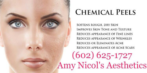 Amy Nicol's Aesthetics