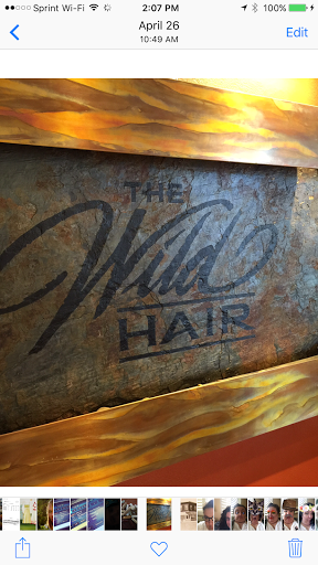 The Wild Hair Salon and Spa