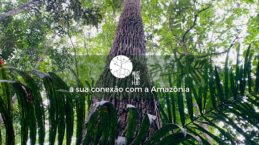 Amazônia Hub
