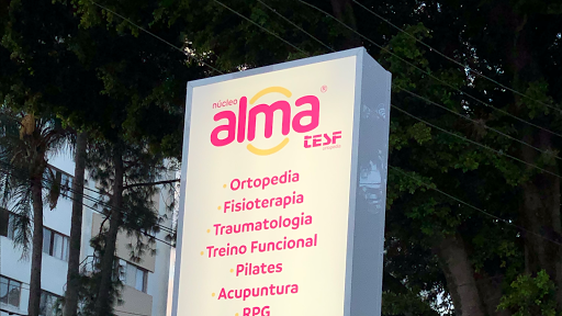 Núcleo Alma - TESF Ortopedia e Traumatologia