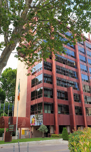 Embajada De Irlanda