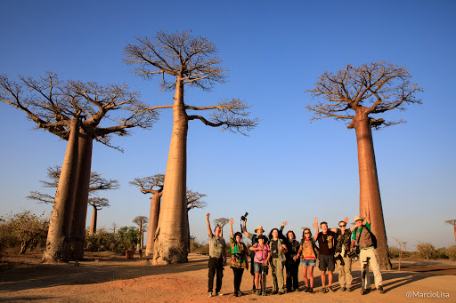 Photo Safari Expedições - Agência de Viagens e Turismo Especializada em África e Brasil