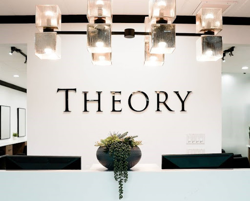 Theory Studio for Hair