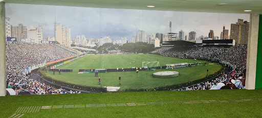 Palmeiras Store Allianz Parque