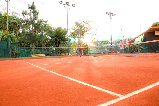 Ranking Tennis Open - Unidade Limão