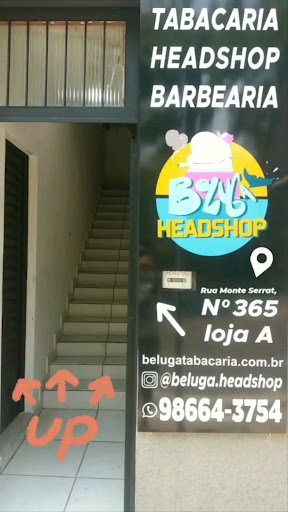 Beluga Headshop
