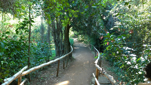 Parque Ecológico Central do Itaim