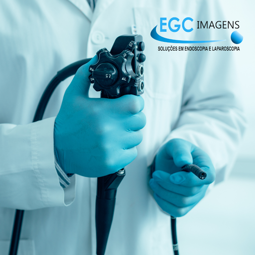 EGC IMAGENS - Endoscópio - MANUTENÇÃO, VENDA E LOCAÇÃO