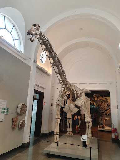 Museu de Zoologia da Universidade de São Paulo