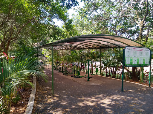 Parque Ecológico Dionísio Alvarez Mateos