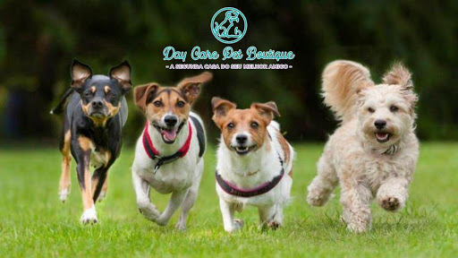 Day Care Pet Boutique - Creche para Cães e Gatos