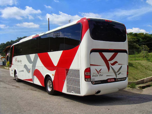 Beija Flor Locadora Veículos - Ônibus Micro-ônibus e Vans